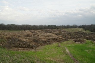 2011-2012 Battlefield Restoration-2-8-2012