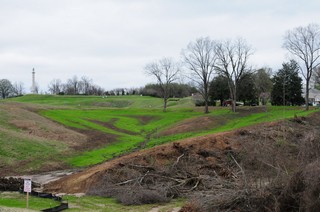 2011-2012 Battlefield Restoration-2-5-2012