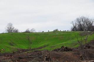 2011-2012 Battlefield Restoration-2-5-2012