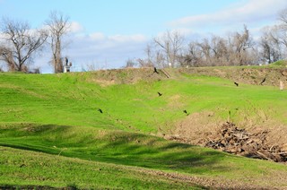 2011-2012 Battlefield Restoration-2-8-2012