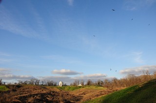 2011-2012 Battlefield Restoration-2-8-2012