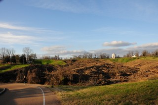 2011-2012 Battlefield Restoration-2-8-2012