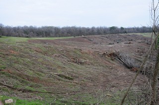 2011-2012 Battlefield Restoration-2-16-2012