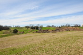 2011-2012 Battlefield Restoration-2-16-2012
