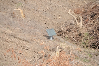 2011-2012 Battlefield Restoration-7-5-2012