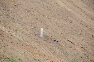 2011-2012 Battlefield Restoration-7-5-2012