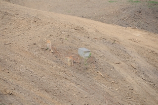 2011-2012 Battlefield Restoration-7-5-2012