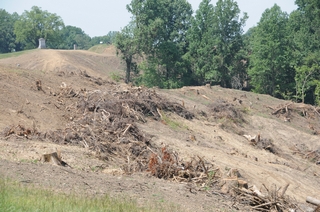 2011-2012 Battlefield Restoration-7-5-2012