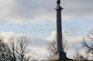 Louisiana Memorial 2/19/2012