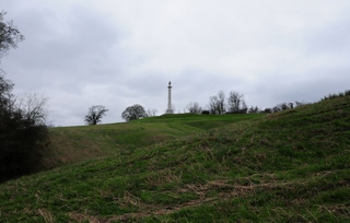 Louisiana Memorial 2/05/2012