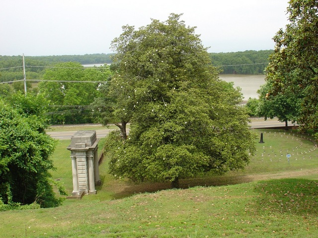 Cemetery Arch from above